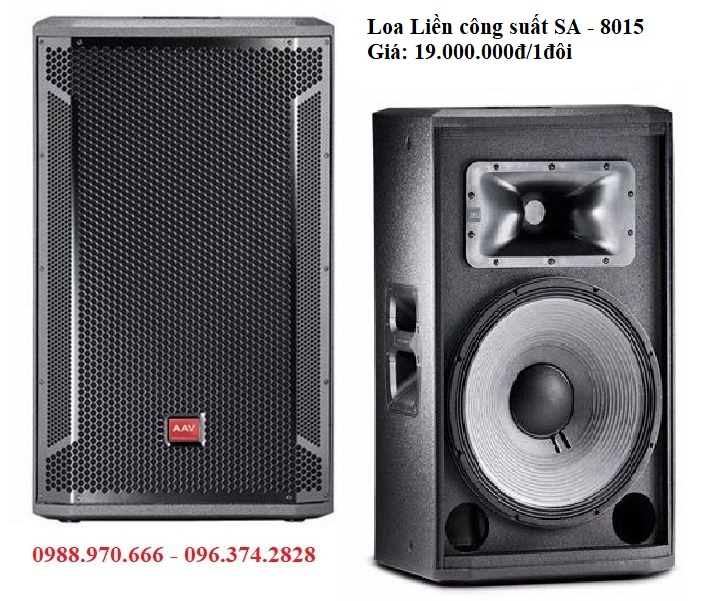 loa hội trường chất lượng cao chuyên nghiệp